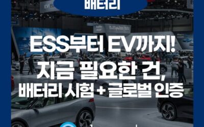 이차전지 전망과 미래 배터리 기술: 전기차 시대를 이끌다
