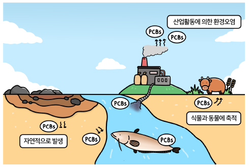 폴리염화비페닐, PCBs란, PCB 환경호르몬, 다이옥신, PCB 화학 물질 