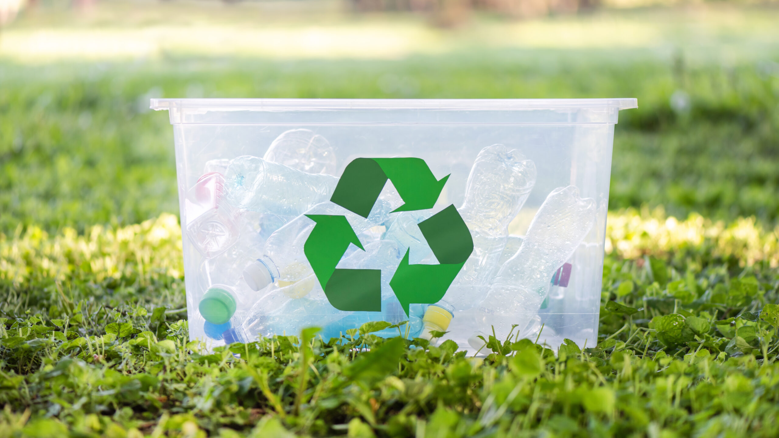 PPWR, PFAS, 식품 포장재, 재생 원료