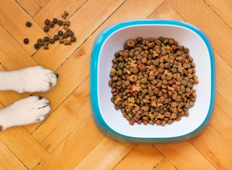 사료 성분, 반려동물 시장, haccp, 잔류 농약 검사