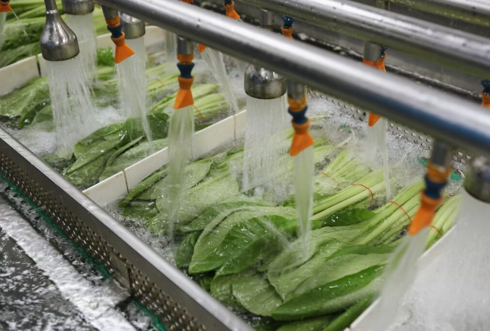 사료 성분, 반려동물 시장, haccp, 잔류 농약 검사